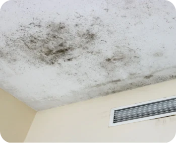 Reparacion de Humedades 2 echo interior con manchas de moho negro extendido cerca de una rejilla de ventilación, mostrando signos de humedad y mala ventilación
